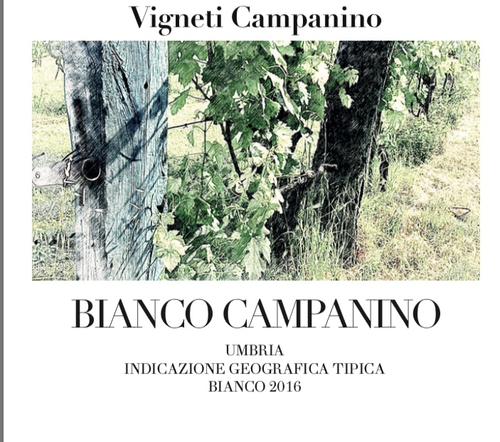 Bianco Campanino