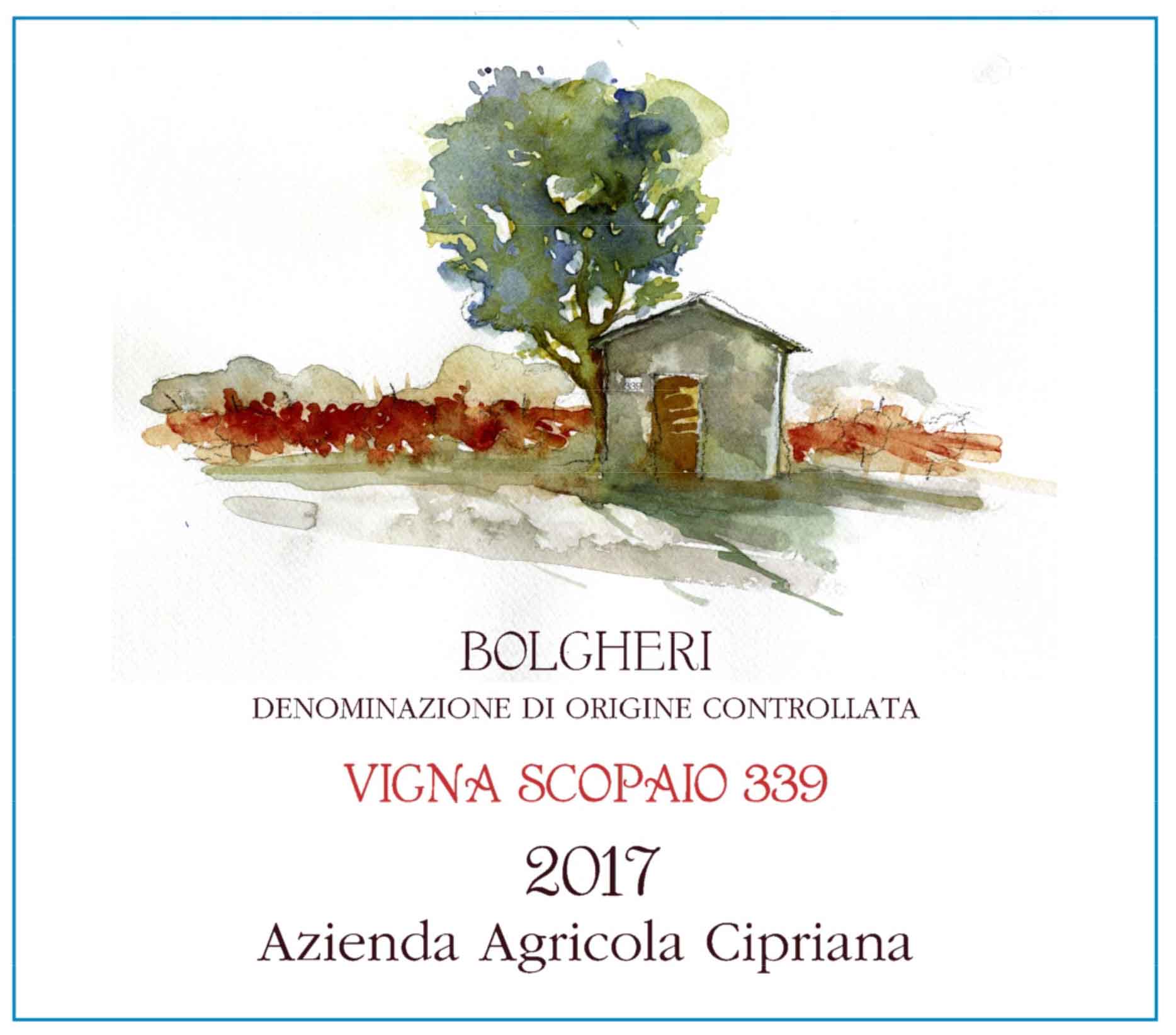 Vigna Scopaio 339