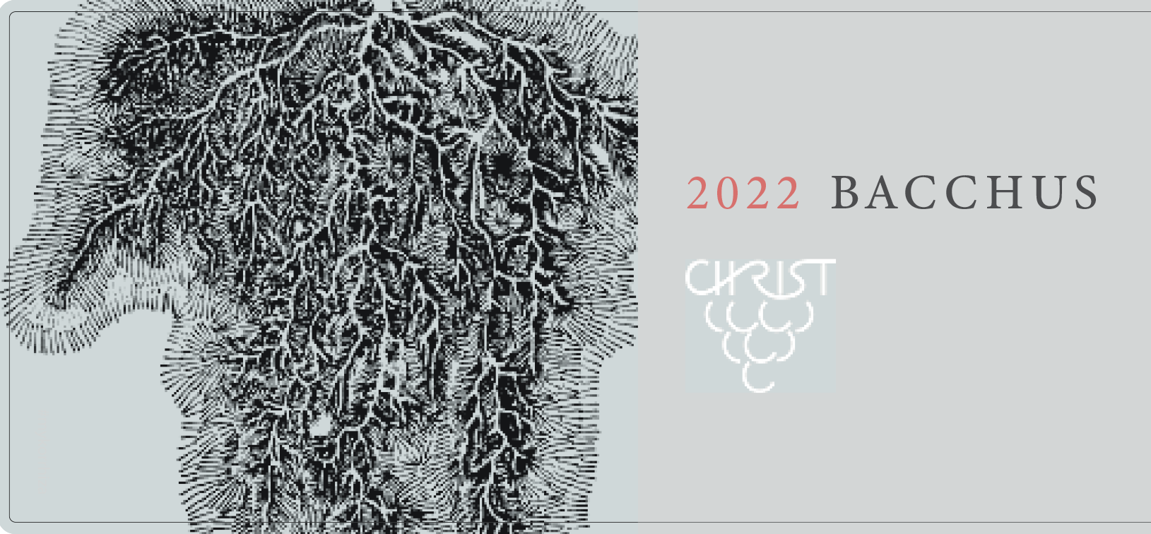 Bacchus Kabinett Dry