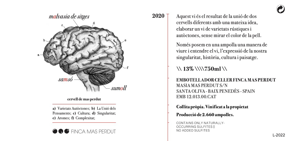 Cervell De Mas Perdut
