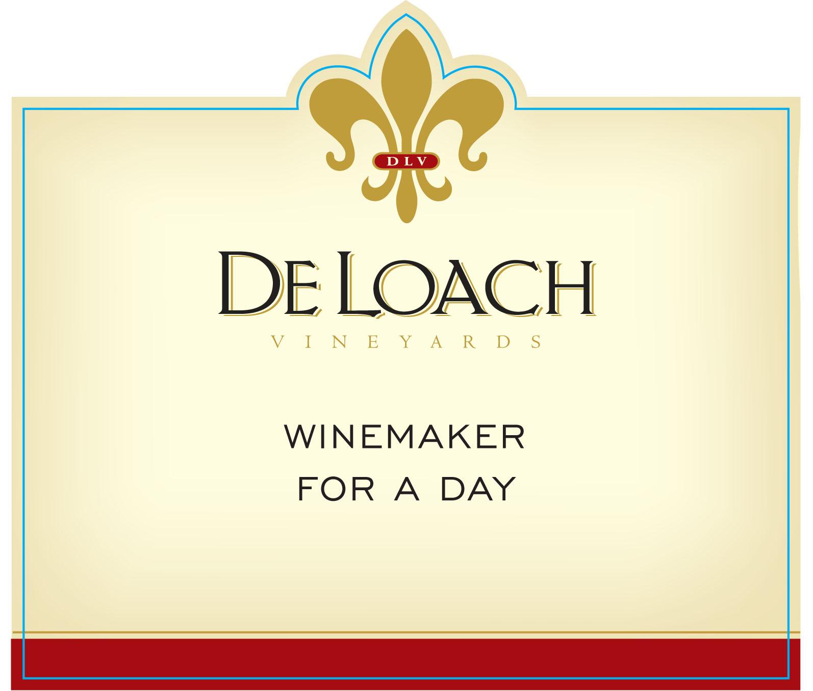 Winemaker For A Day