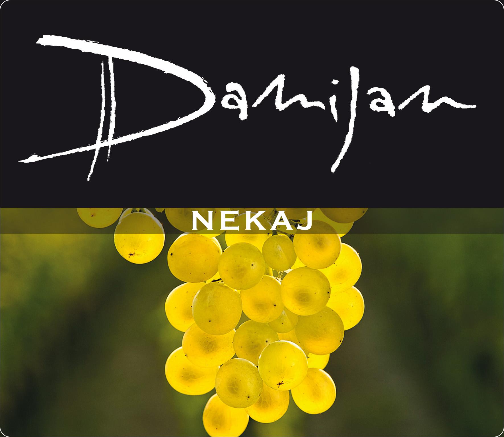 Nekaj