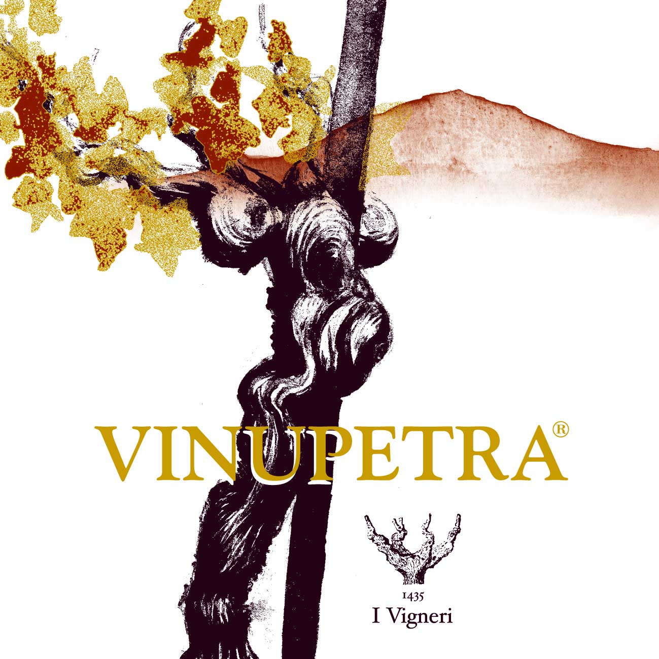 Vinupetra