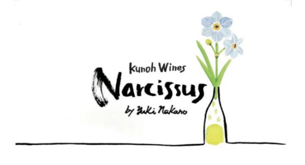 Narcissus