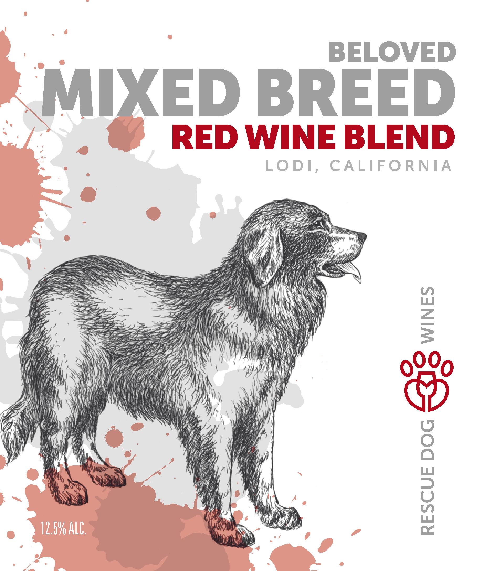 Beloved Mixed Breed