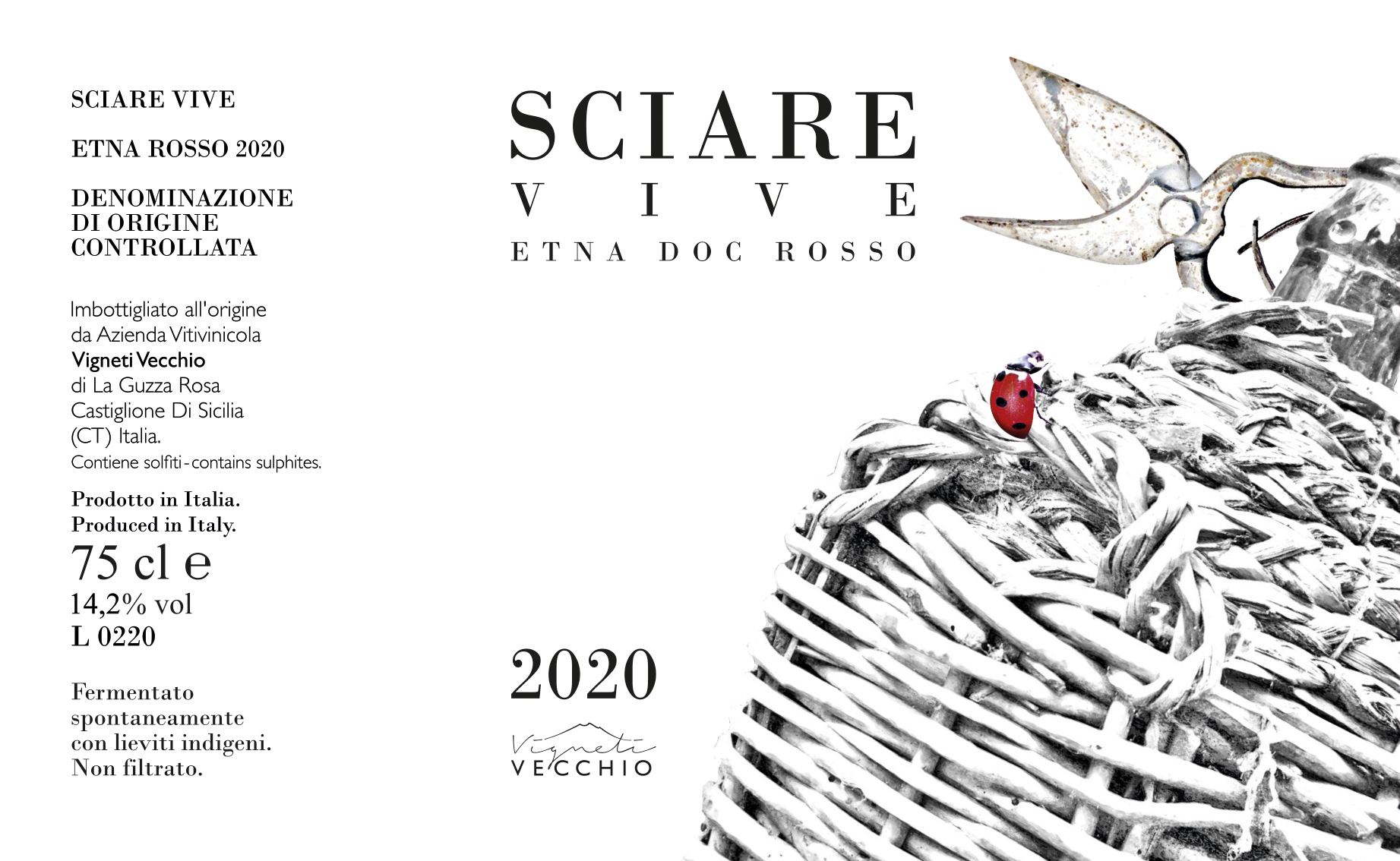 Sciare Vive