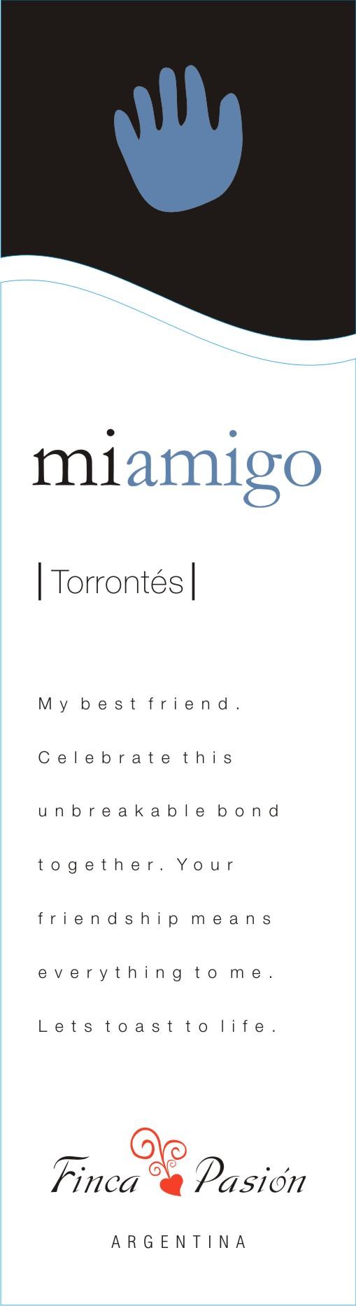 mi amigo