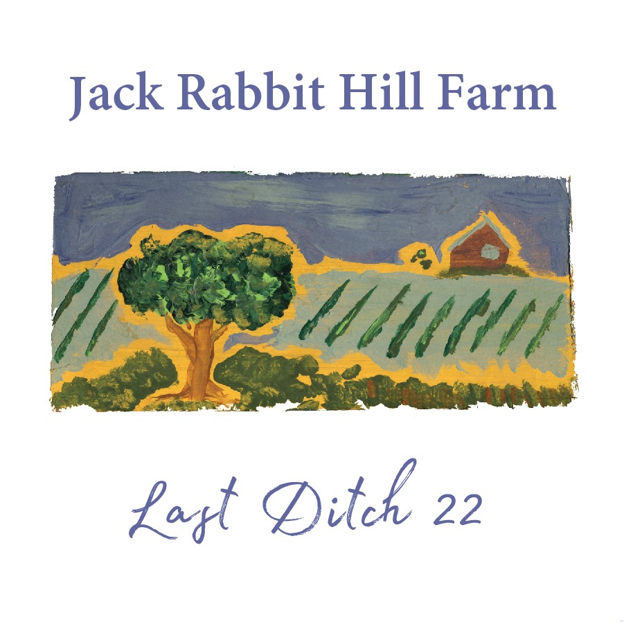 Last Ditch 22