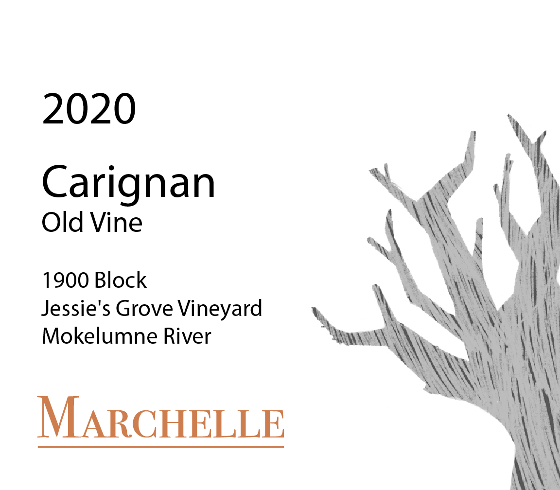 Old Vine 1900 Block Jessie's Grove Vineyard