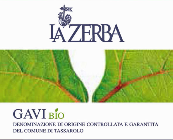 Gavi Bio