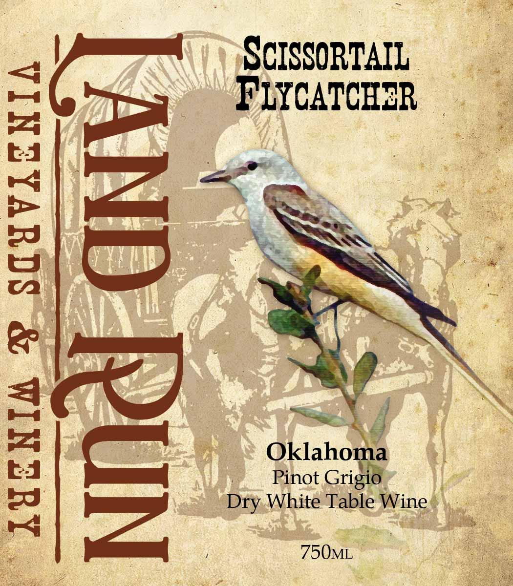 Scissortail Flycatcher