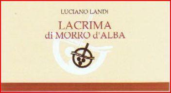 Lacrima Di Morro D'alba Dry Red Wine