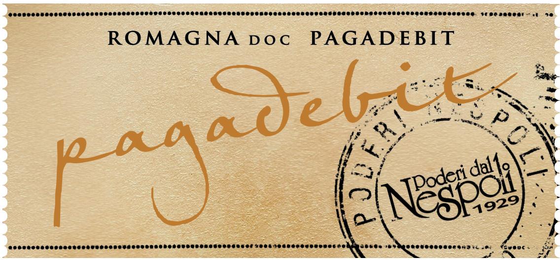 Pagadebit