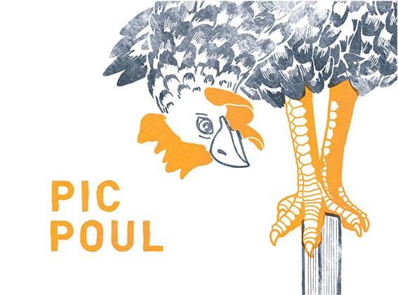 Pic Poul