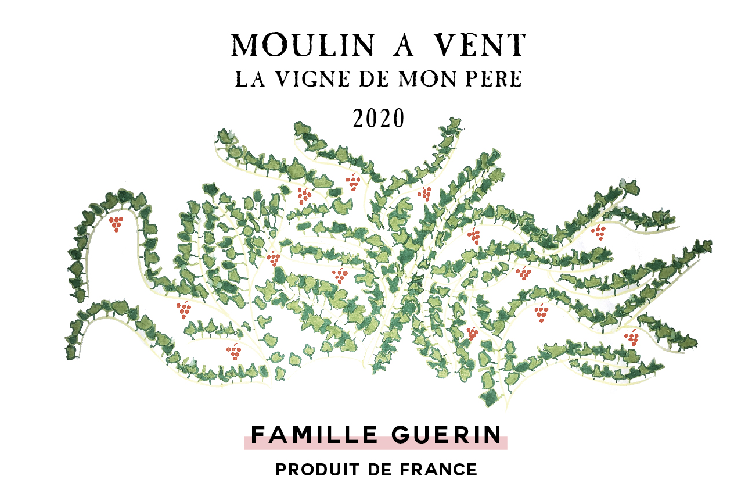 Les Vignes De Mon Père