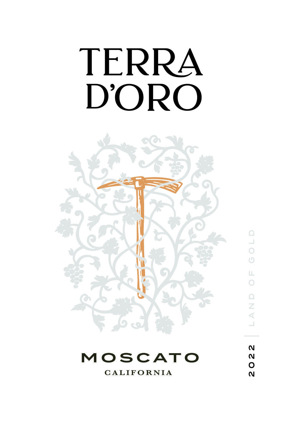 Image of Terra d’Oro wine