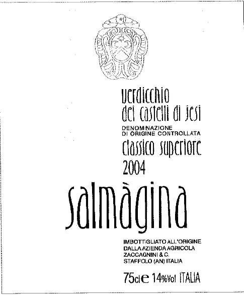 Salmàgina