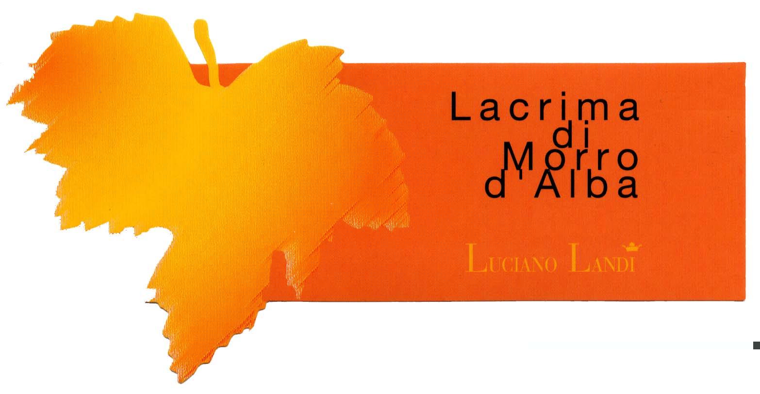 Lacrima di Morro d'Alba