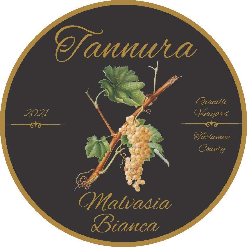 Malvasia Bianca