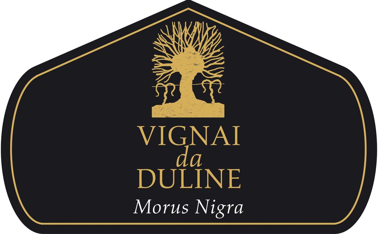 Morus Nigra