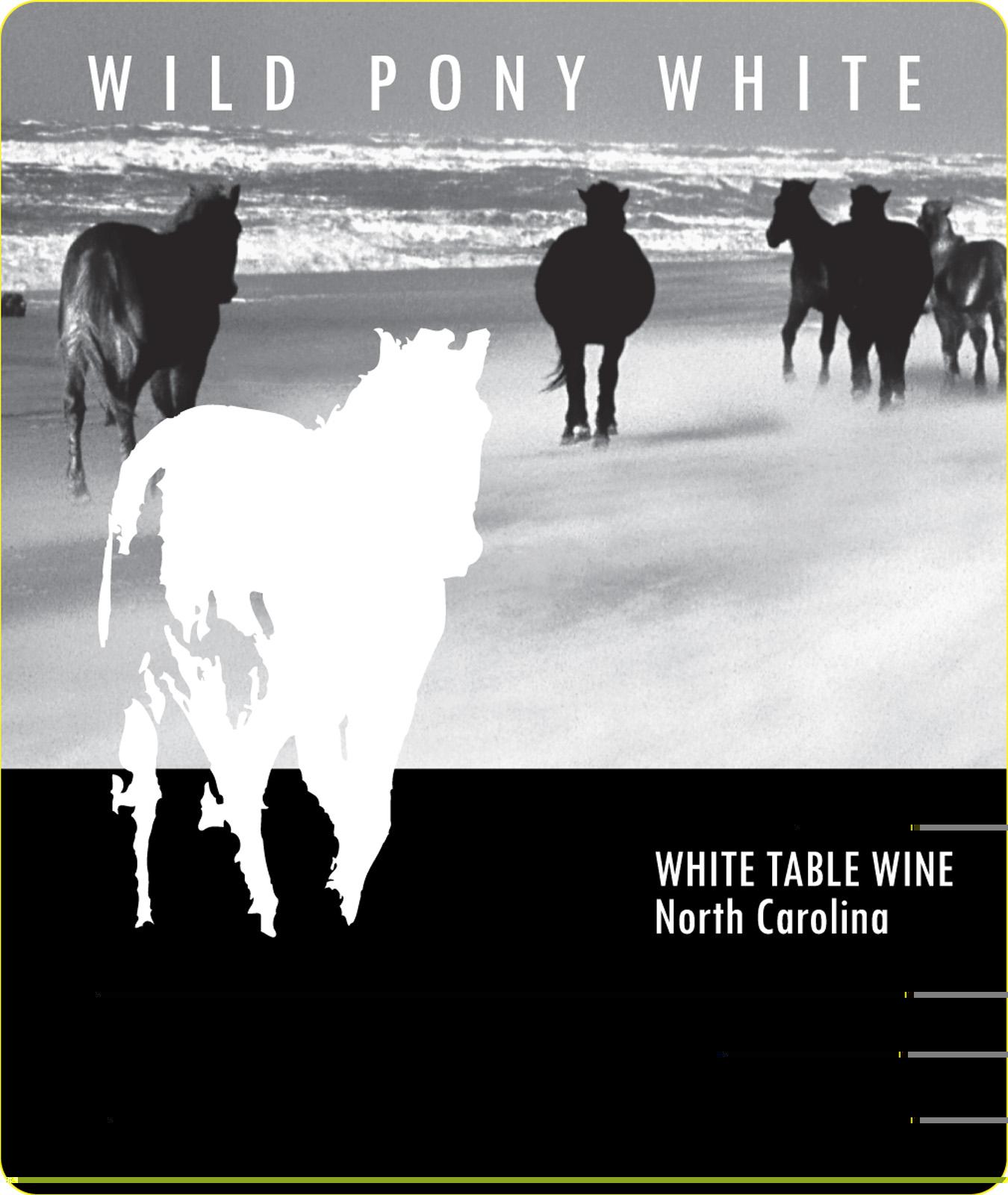 Wild Pony