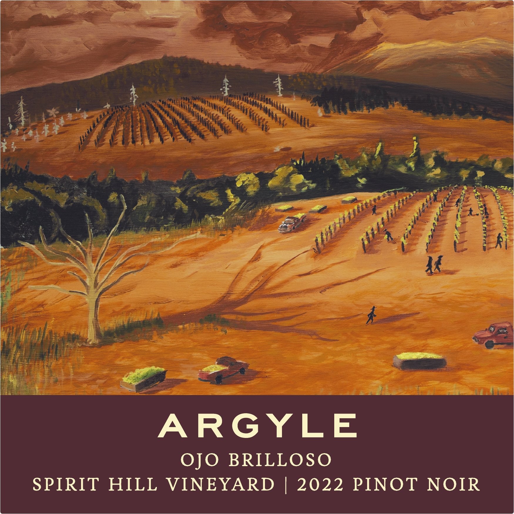 Ojo Brilloso - Spirit Hill Vineyard