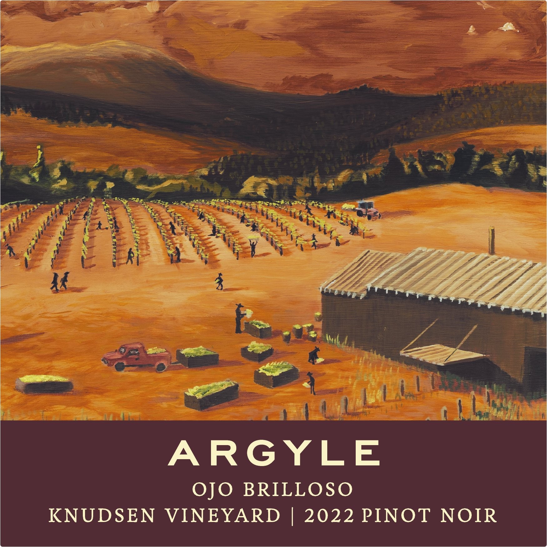 Ojo Brilloso - Knudsen Vineyard