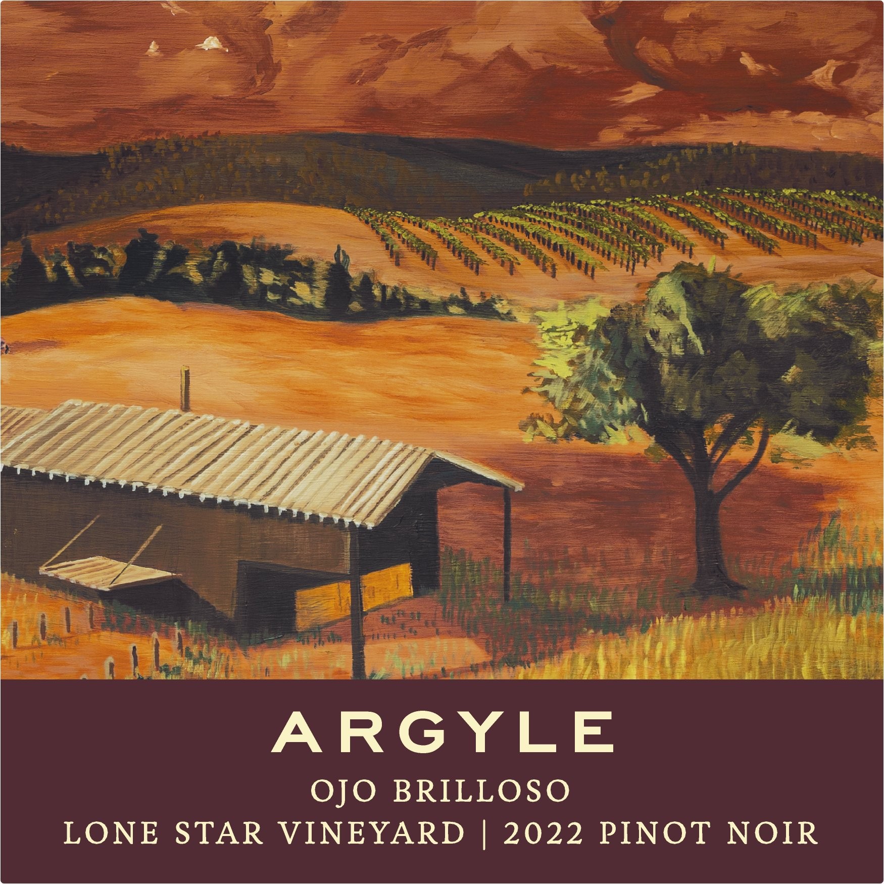 Ojo Brilloso - Lone Star Vineyard