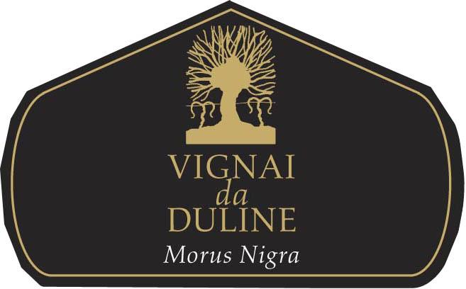Morus Nigra