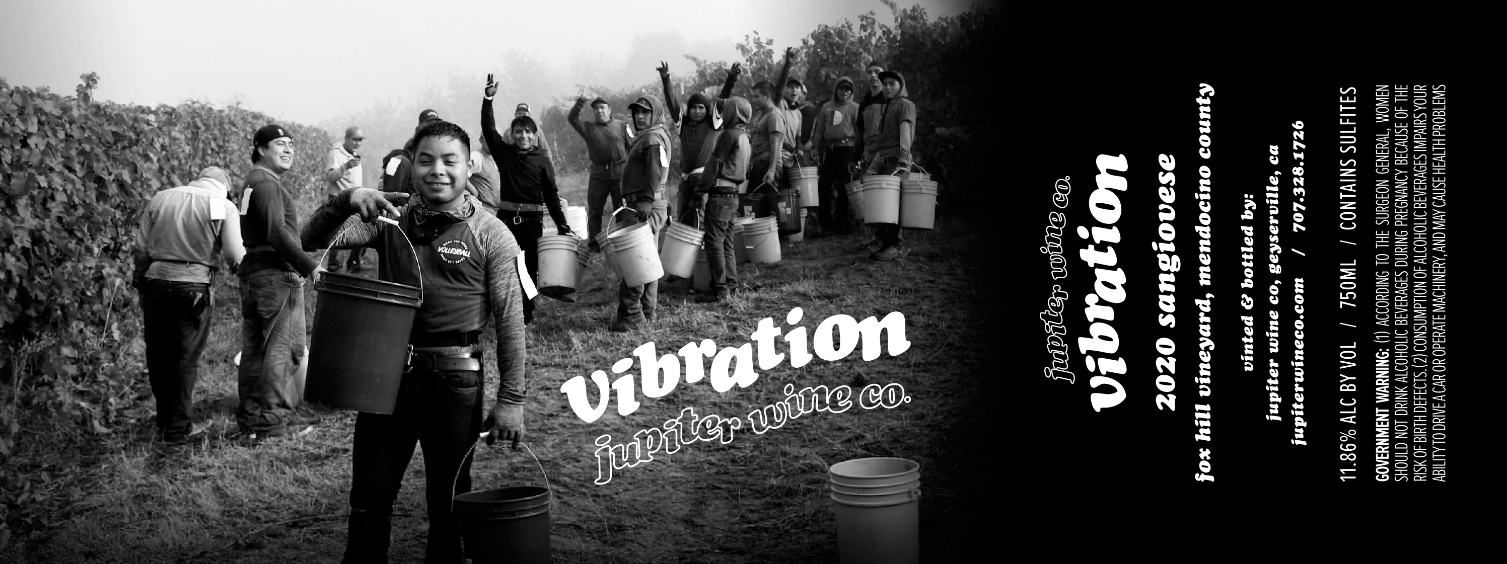 Vibration Fox Hill Vineyard