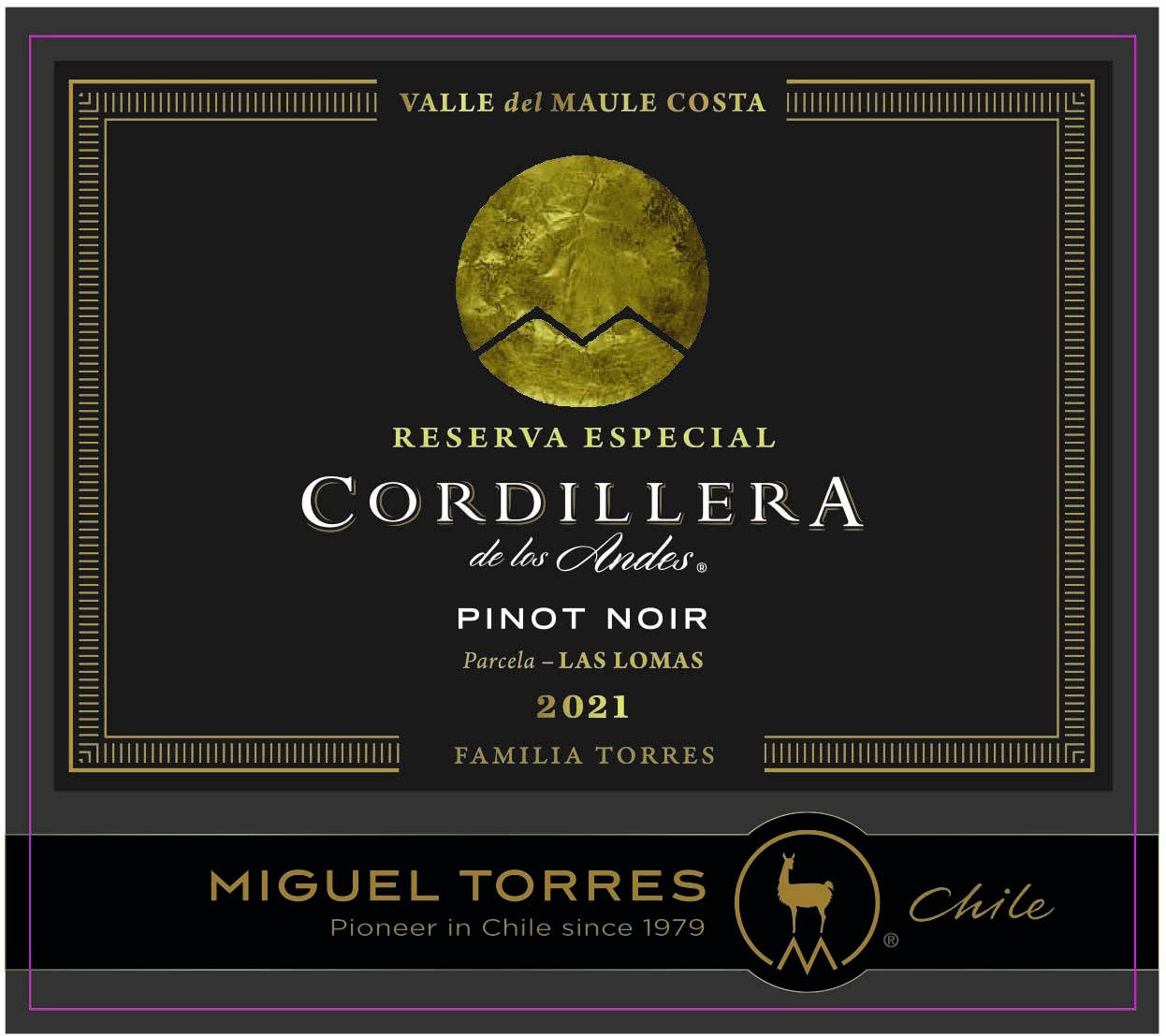 Cordillera De Los Andes