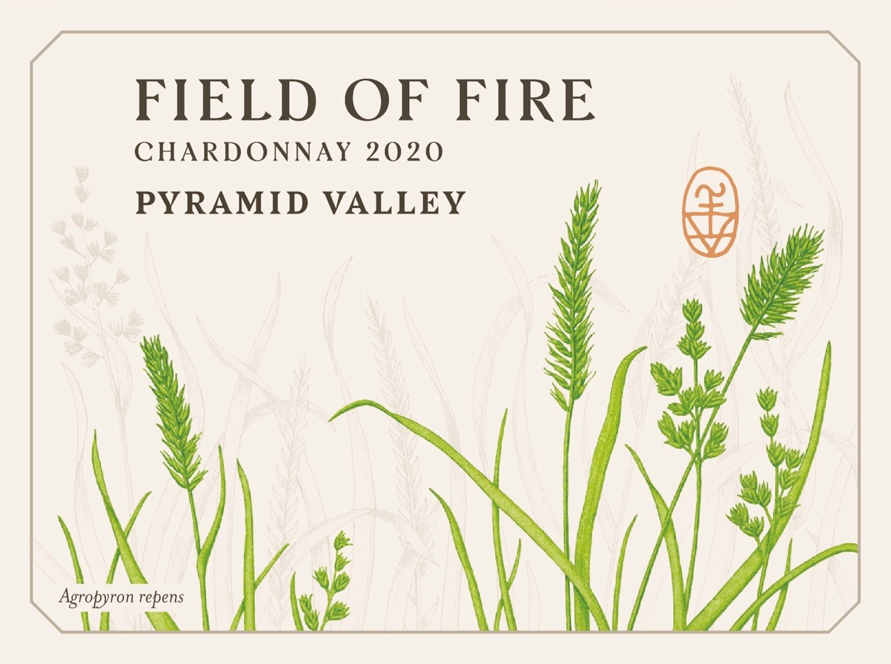Field Of Fire
