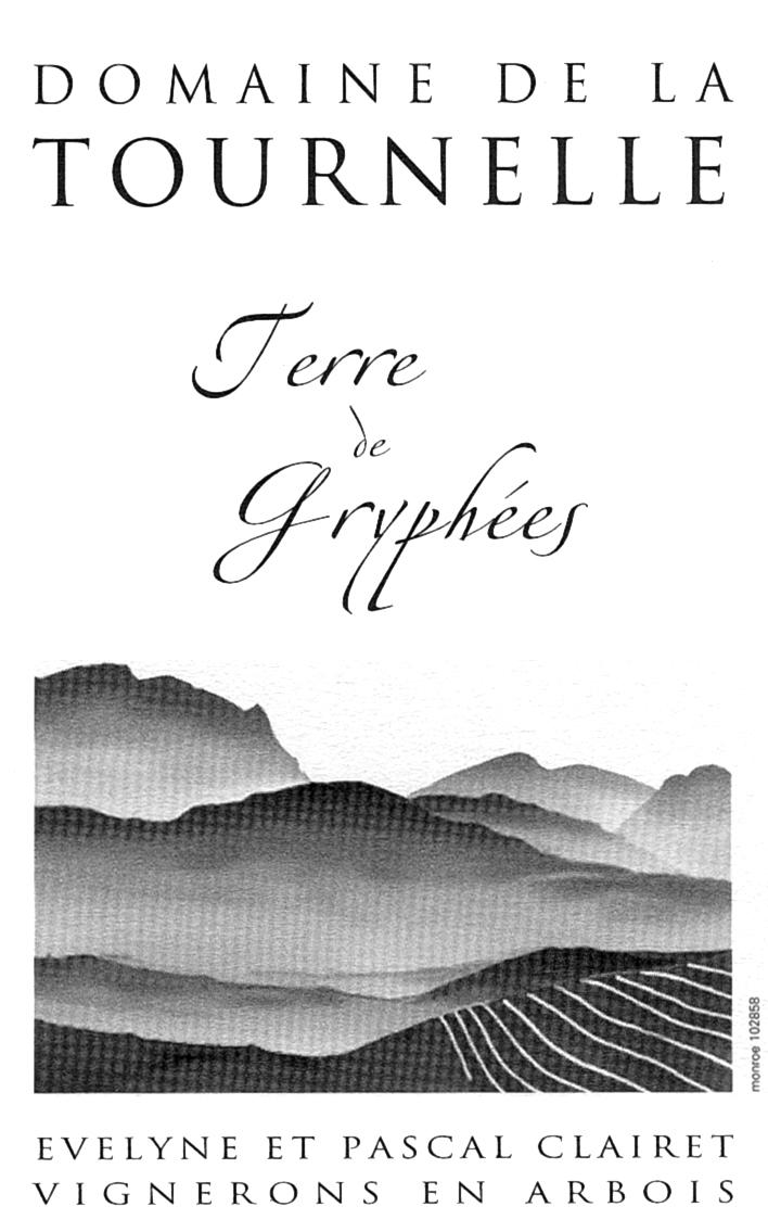 Terre Des Gryphees