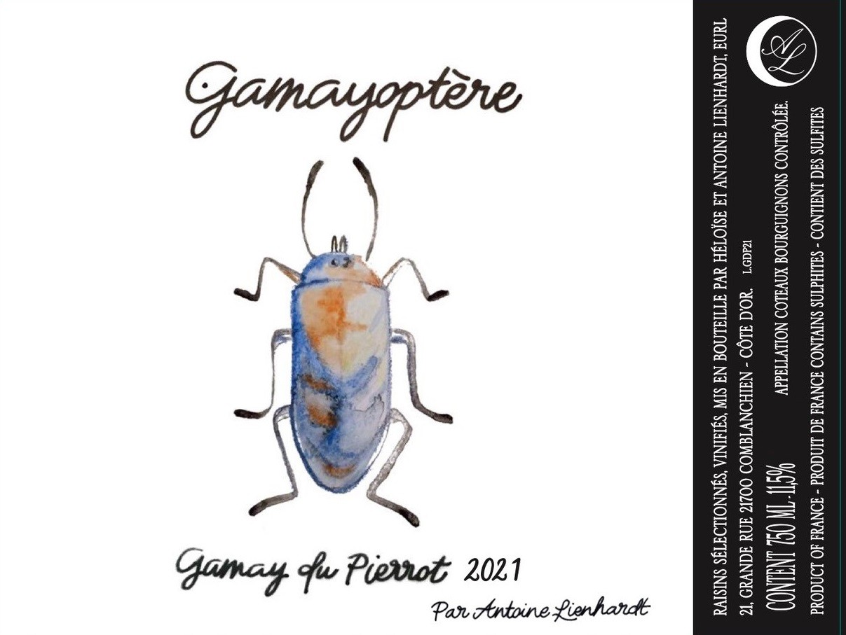 Gamayoptere