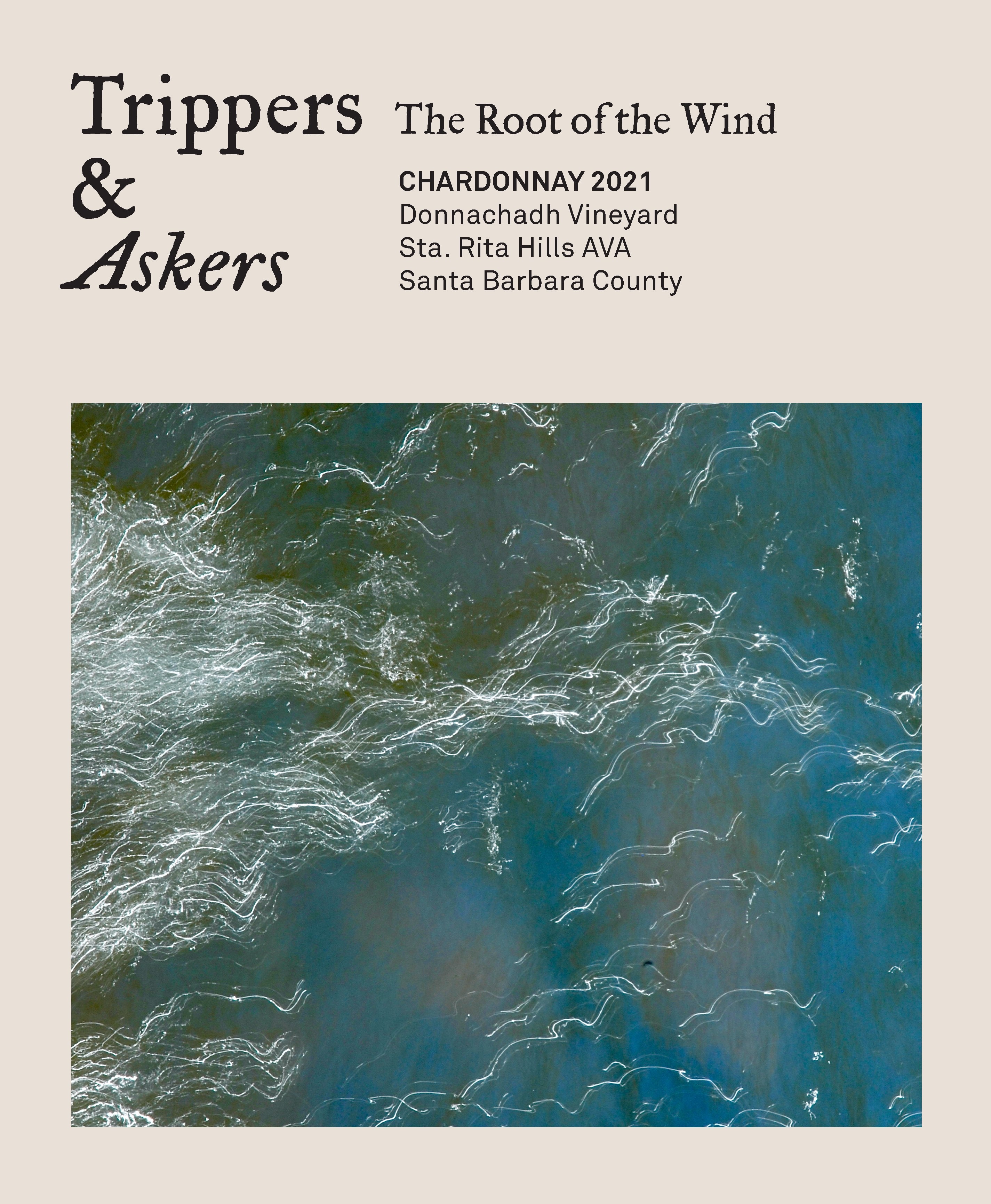 The Root Of The Wind