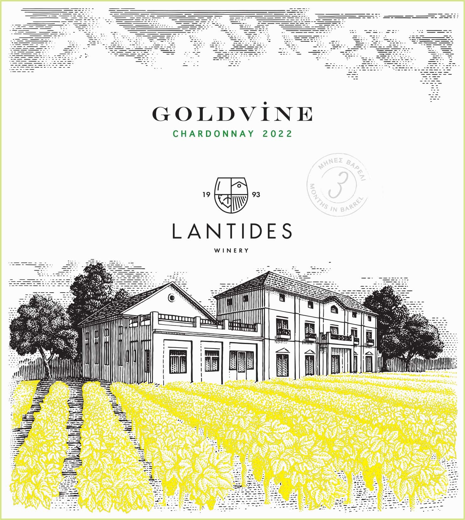 Goldvine