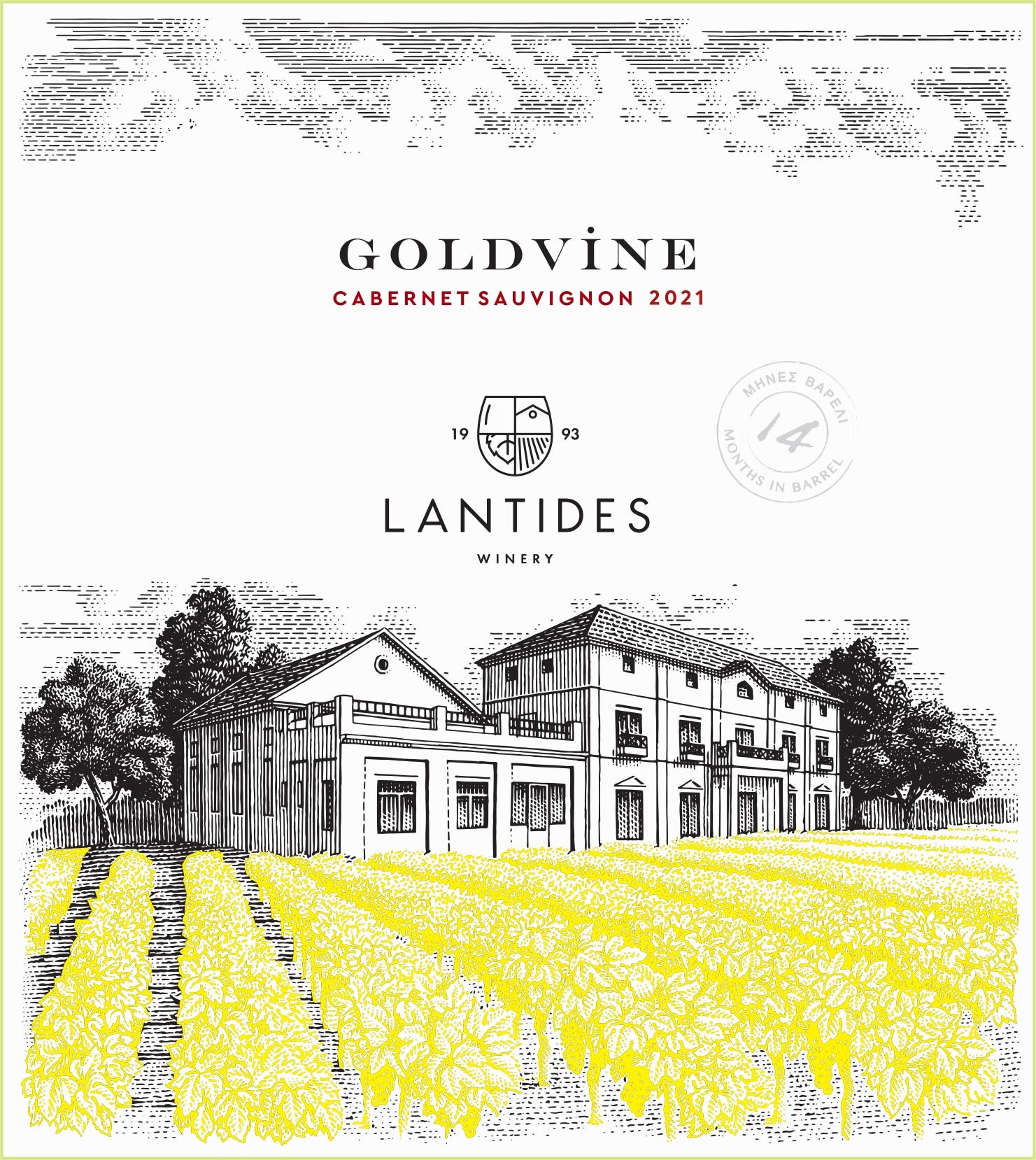 Goldvine