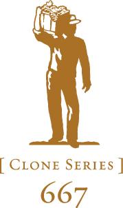 Clone 667