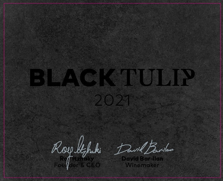Black Tulip