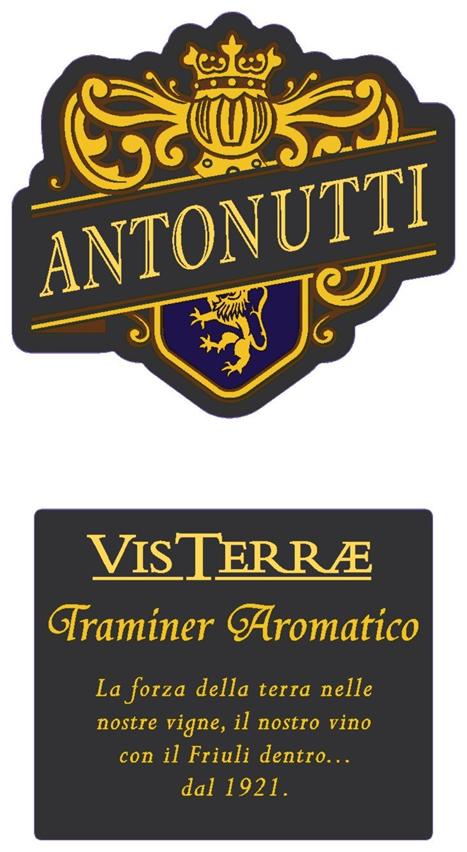 Vis Terrae