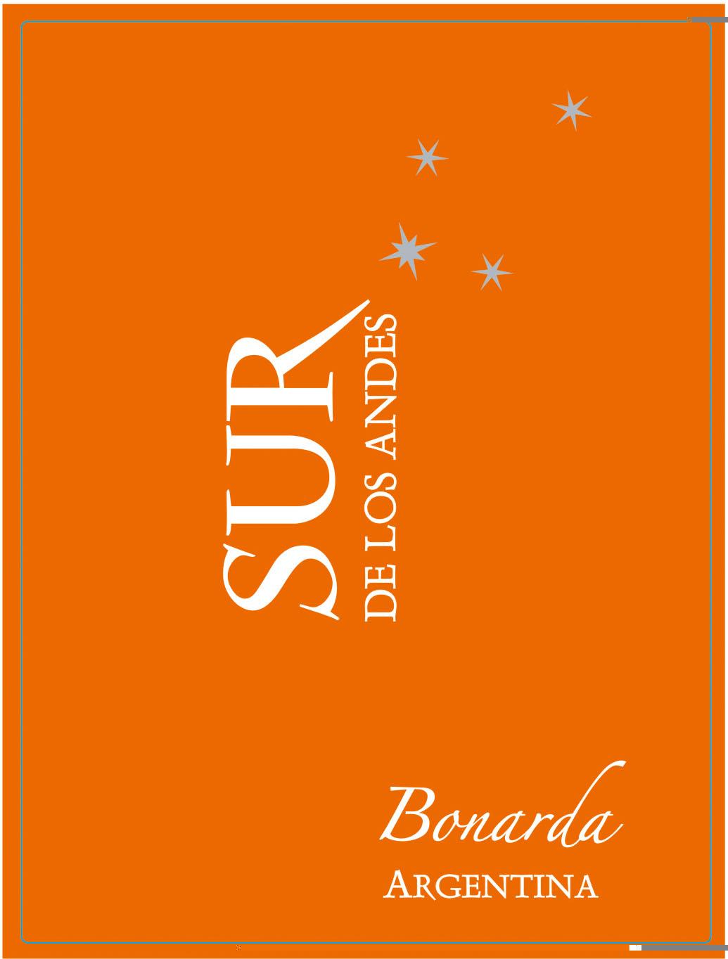 Sur de los Andes
