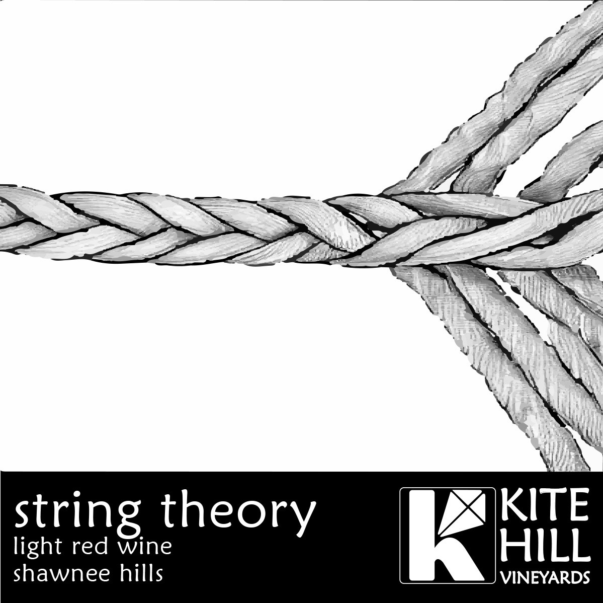 String Theory