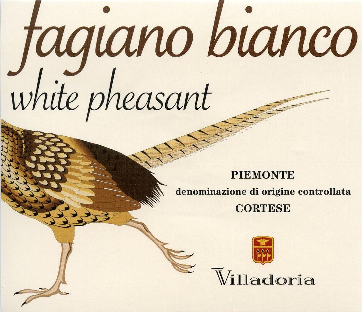 Fagiano Bianco