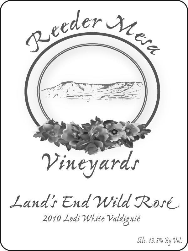 Land's End Wild Rose