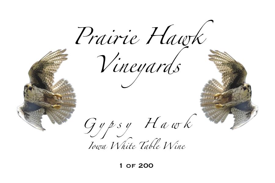Gypsy Hawk