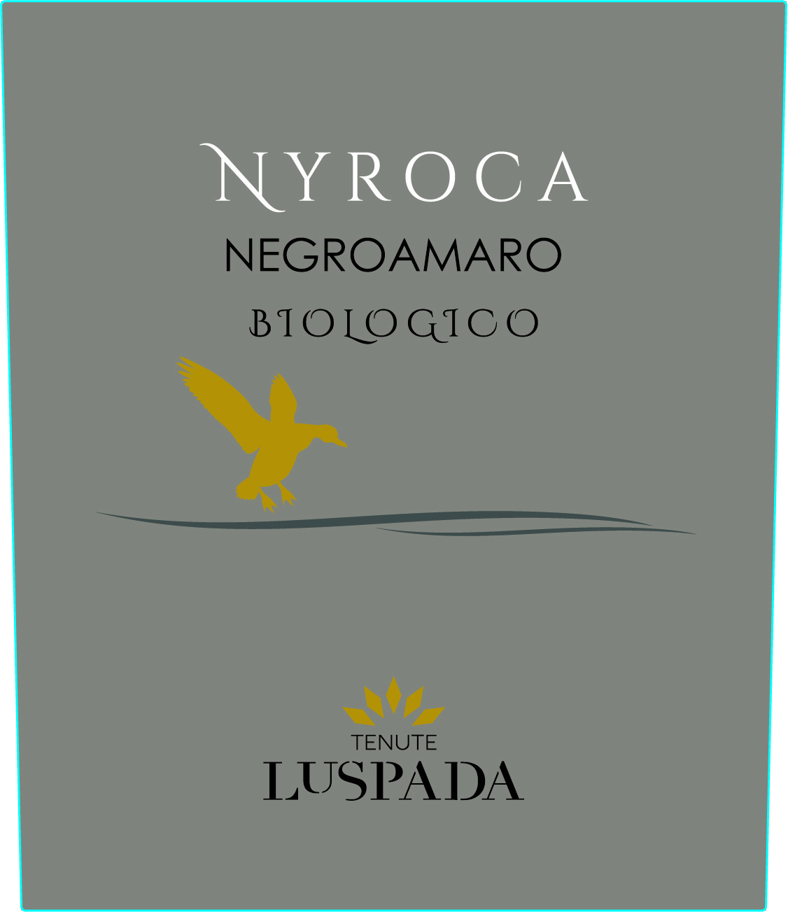 Nyroca