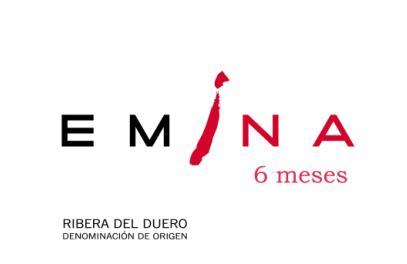 6 Meses