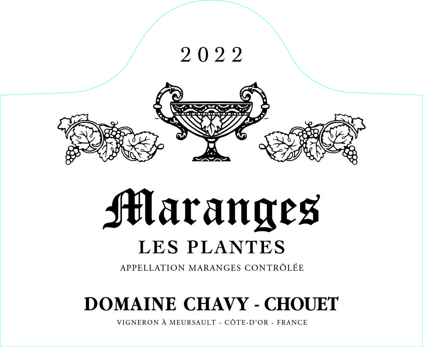 Maranges Contrôlée Les Plantes