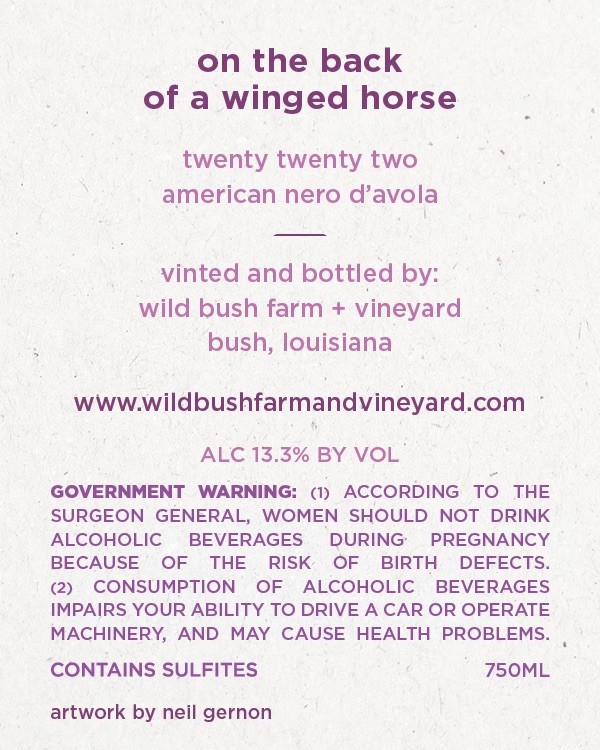 On The Back Of A Winged Horse