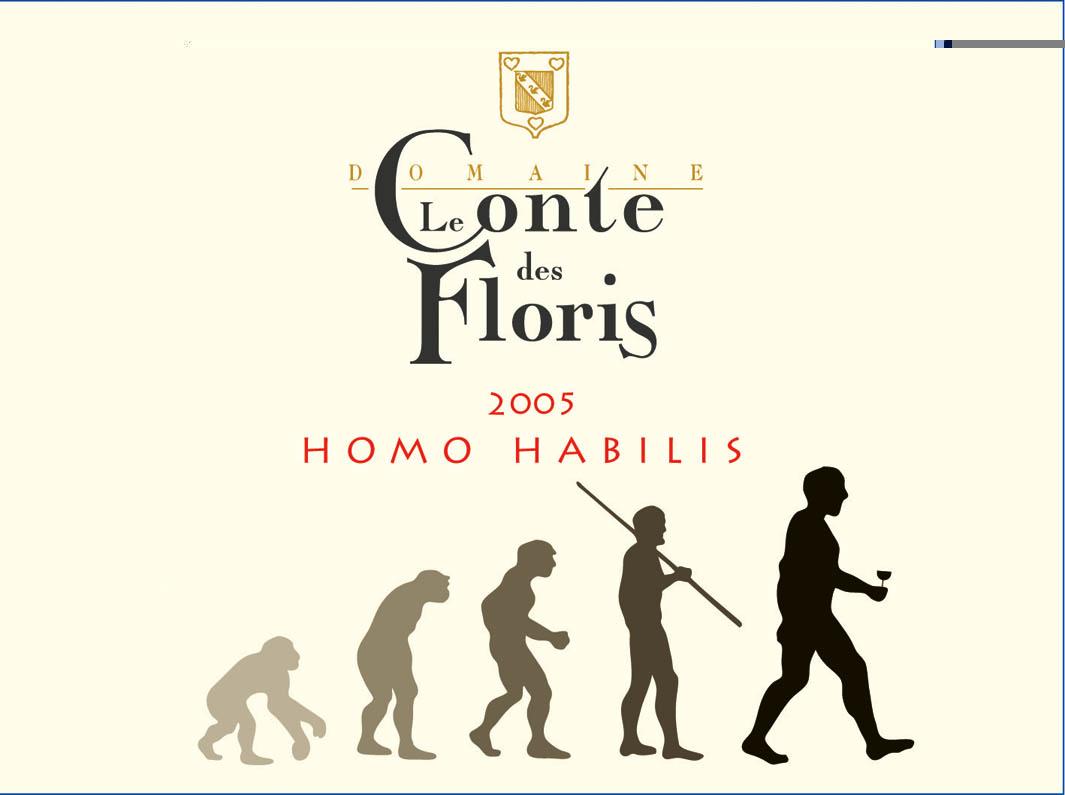 Homo Habilis